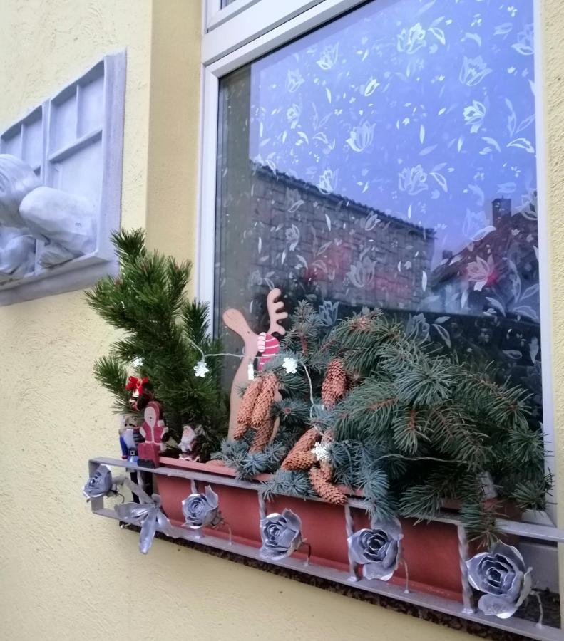 Usis_Ferienwohnung Im Harz Quedlinburg Bagian luar foto